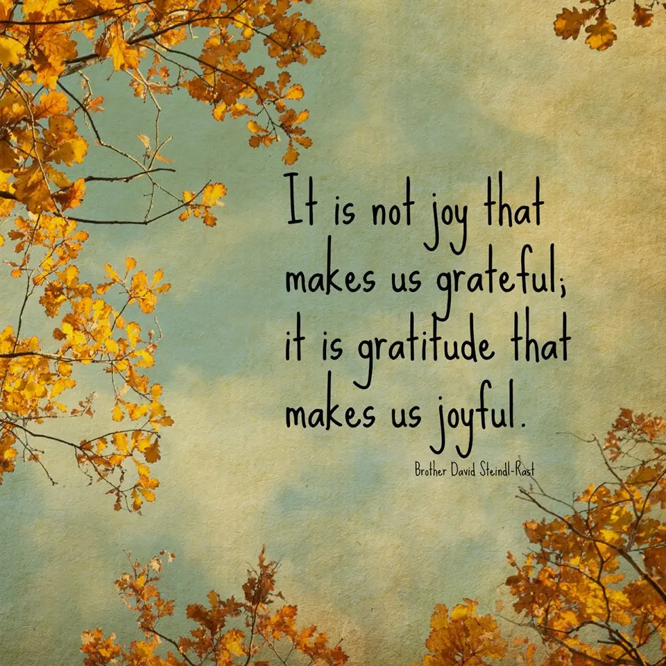 Image result for about gratitude